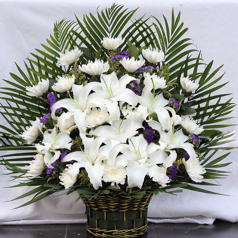 清明扫墓菊花